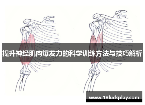 提升神经肌肉爆发力的科学训练方法与技巧解析