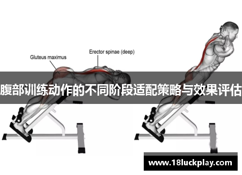 腹部训练动作的不同阶段适配策略与效果评估